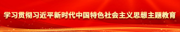 吻胸抠逼插逼激情网站视频学习贯彻习近平新时代中国特色社会主义思想主题教育